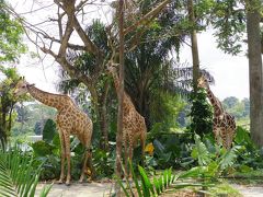 子連れでシンガポール2回目：動物園、Children's Garden