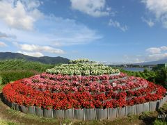 夏休みは富士山の麓！（1泊目-６）西湖から河口湖の大石公園へ