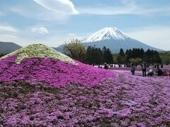 富士芝桜【世界遺産・富士山フリー乗車券】