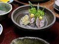 伊豆多賀・網代温泉の旅行記