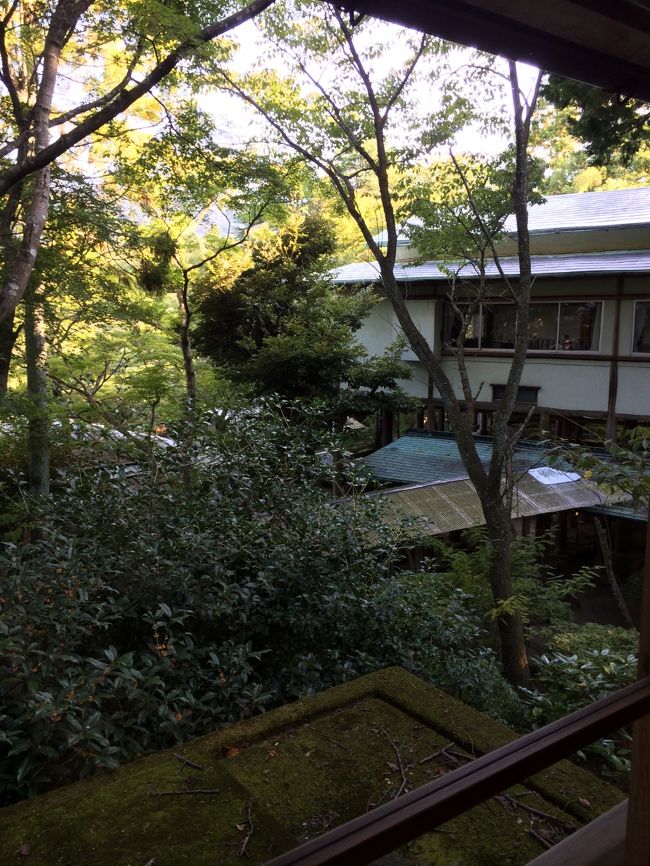 年に一度の母娘旅。今年は箱根にしました。<br /><br />1日目 ゆったり温泉につかるため出発はゆっくりめ。強羅環翠楼泊。<br /><br />2日目 ラリック美術館〜箱根神社〜ランチして帰宅