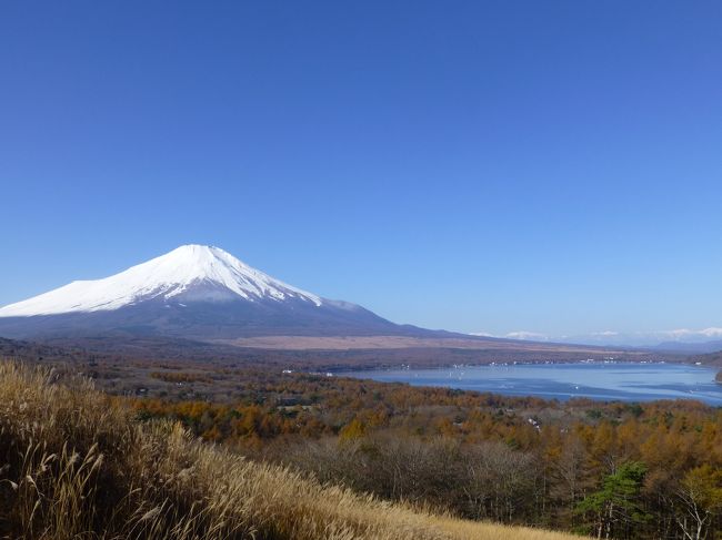 長年、雪を頂いた美しい富士山を見たいと夢見てきました。<br />近くに住んでいたら、天気予報とにらめっこで予定を組めますが<br />私の住むところから富士山まではゆうに５００㎞を超えるのでそんな頻繁に行けるわけではありません。<br /><br />小さい頃に美しい富士山を見たらしいのですが覚えていません。<br />そもそも子どもの頃に自然の偉大さなど分かるはずもなく。<br /><br />大人になってから二度富士山に足を運びました。<br />一度目は、晴れてはいても春霞でぼやけてしまっていた。<br />二度目は、晴れていたが、富士山はまだ雪をかぶらずに赤かった。<br /><br />そして三度目の今回。夢がかないました。<br />