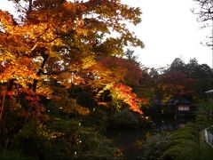 2012年紅葉　＝日光社寺　逍遥園　ライトアップ＝