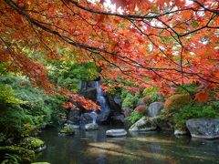 2012紅葉　＝鹿沼 古峯園＝