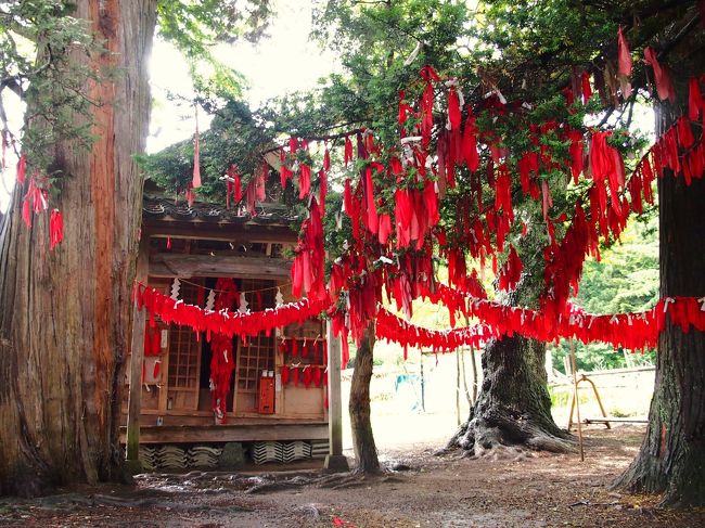 一人旅も、あっという間に最終日。<br /><br />今日も「遠野物語」に出てくる定番スポットを巡る。<br /><br />昨日「伝承園」の御蚕神堂（おしらどう）で、１０００体のオシラサマのオーラに圧倒された余韻が、今日もまだ強烈に残っている。<br /><br />今日はまず、駅から２・５ｋｍほどのところにある「卯子酉様（うねどりさま）」と、「五百羅漢（ごひゃくらかん）」を訪れてみる。<br /><br />最寄りにバス停もあるのだが、ものすごく本数の少ないバスに都合を合せるのも面倒くさくなり、タクシーで卯子酉様へ・・・。