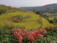 別府の湯治旅　③　内成棚田