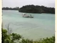 石垣島をバスでまわるには