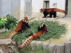 ＺＯＯめぐり２０１４　第７回（鯖江市西山動物園）