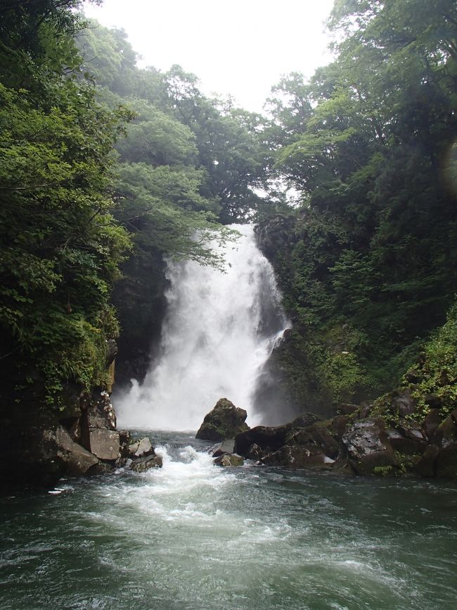 鳥海山の周りにはたくさんの滝が点在するので、滝メグラーにとっては嬉しい場所です。<br />ということで、日本の滝百選「法体の滝」の雄姿を見た後、鳥海山の北西側にあたる秋田県にかほ市象潟地区に移動しました。<br /><br />目的地は、時々ＴＶ等にも登場する『奈曽の白滝』です。<br />車で行きやすい場所にあるので“観光滝”であることは否めませんが、豪快で迫力ある滝姿には目を見張るものがありました！<br />