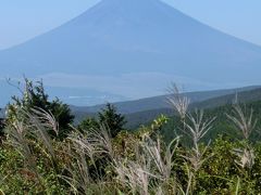 やっと、見れた！十国峠からススキと雲ひとつない富士山