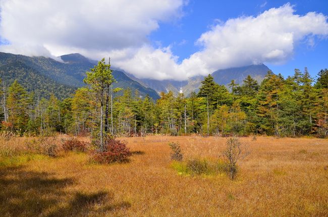 大正池～河童橋へと続く「上高地自然研究路」は、上高地の見所を凝縮したゴールデンルートです。急峻な穂高連峰、煙を吐く焼岳、間近に迫る霞沢岳の絶景、神秘的な色彩や枯木立が雰囲気を放つ大正池と田代池等々、季節折々の大自然の醍醐味が満喫できる充実したコースです。アップダウンも少なく、休憩スポットも整備されていますので、小さな子供からお年寄りまでファミリーで楽しめる癒しの散策路です。<br />上高地滞在２時間でこのコースを散策されるのであれば、途中のバス停「大正池」で降り、大正池から河童橋を目指されるのがお勧めです。今回は、予定外の散策となったため、河童橋から大正池を往復するというストイックなウォーキングとなってしまいました。<br />このコースの散策は２度目になりますが、前回歩いていない道を選んだり、歩いた道を逆行することで、新鮮な気持ちで散策を愉しむことができました。また、季節によって自然が見せる表情も異なっています。リピーターが絶えないと言うのも頷けます。