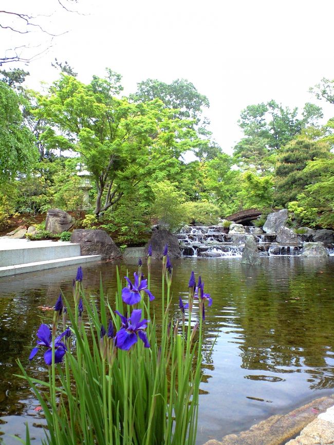 寒川神社　神苑