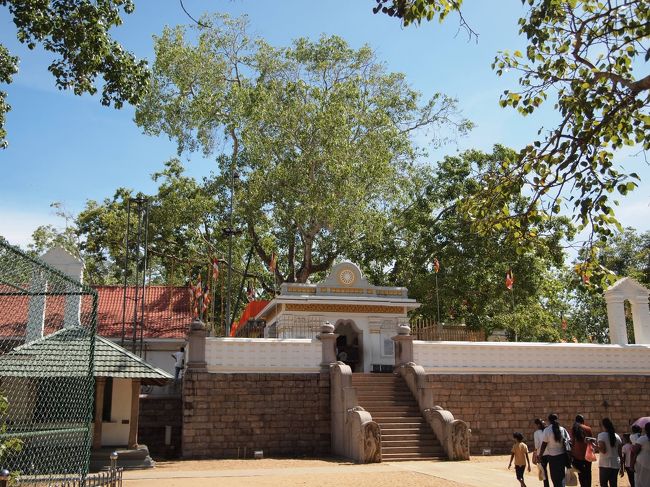 アヌラーダブラは２５００年以上前から栄えた王国の都があった場所で、<br />紀元前３世紀に仏教はこの地に伝わり、スリランカ全土へと広まっていきます。<br />その当時の仏教遺跡が残っています。<br />まず最初の観光はここからです。