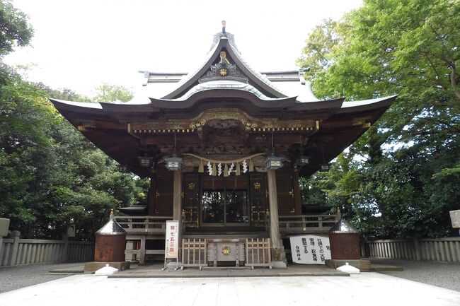 　神奈川県藤沢市藤沢2に白幡神社が鎮座している。創立年代は不詳である。古くは相模国一宮の寒川神社の寒川大明神を祭って寒川神社と称していたとされる。<br />　兄源頼朝の勘気を蒙った義経は、文治5年（1189年）閏4月30日に奥州衣川館で自害した。首級は鎌倉に送られ首実検された。その後、首級は腰越で曝されたあと片瀬の浜に捨てられたが、泥にまみれたまま亀に背負われ境川をのぼり藤沢の里にたどり着いた。哀れに思った里人が井戸で首を洗い清め弔うため首塚を作った。これを神とし祭ったのが白旗神社で亀の伝承があることにより本殿には多くの亀の彫刻が施されている。また、社殿が建つ山は亀の形をしていることから亀尾山と呼ばれている。<br />　あるいは、「白幡神社誌」によれば、奥州平泉から自害した源義経の首と一緒に武蔵坊弁慶の首も鎌倉の在の腰越に送られ、首実検がなされ、夜の間に2つの首は寒川神社に飛んで来たという。このことを鎌倉殿（頼朝）に伝えると、白幡神社としてこの神社に祀るようにと下知され、義経を御祭神として白幡神社となった。弁慶の首は八王子社として祀られた。<br />　こうした伝承と共に、この神社の付近に伝源義経首洗井戸と義経首塚、弁慶塚が残されている。<br />　建久9年（1198年）荘厳寺が別当寺となった。あるいは、宝治3年（1249年）9月に源義経公を合せ祀ったとされる伝承もある。<br />　主祭神は寒川比古命と源義経公である。源義経公を主祭神とする神社は鎌倉郡には品濃白旗神社（横浜市戸塚区）がある。<br />　社殿は７年の歳月をかけて造営され天保6年（1835年）に竣工した。<br />　藤沢駅の観光案内所で貰った「歩いて見よう藤沢宿浮世絵まっぷ」には白旗神社にトイレが記載されていたので境内を探したが見付からなかった。境内図（http://shirahata-jinja.jp/guidance.shtml）にもないから、実際はないのだろう。<br />（表紙写真は白幡神社拝殿）