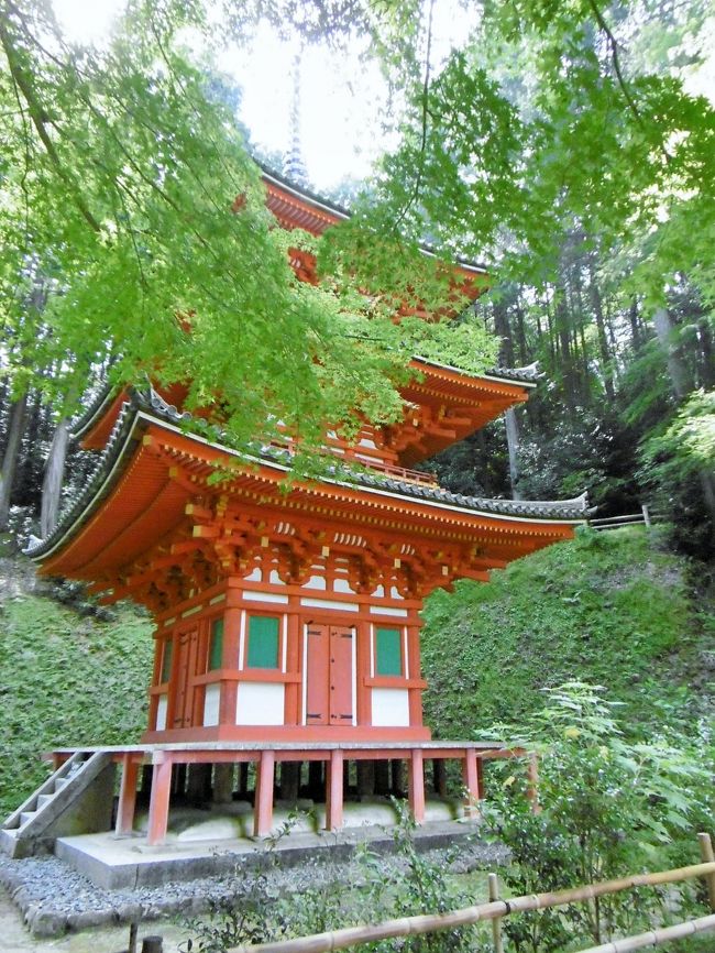 慌ただしい大阪での一日が終わり、翌日は奈良に宿泊しながら、ほとんど一日中、京都南山城の地にいた。<br /><br />午前中は、浄瑠璃寺から石仏巡りをしつつ、昭和55年８月に訪れて以来34年ぶりの岩船寺訪問となった。<br /><br />当時珍しかった「無人スタンド（売店）」は、今なお健在。<br />季節の野菜や果物、漬け物など、１袋100円ほどの品がひっそりと置かれていて、静かな山里は石仏の笑みに満ちていた。<br /><br />午後はさらに、海住山寺、笠置寺、柳生の里を経過し、夕方奈良に戻り般若寺と久しぶりの東大寺大仏殿訪問、元気な鹿たちと楽しい時間を過ごすことができた。<br />
