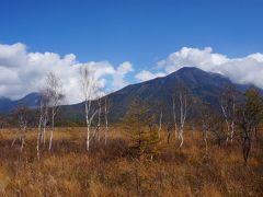 奥日光ゆる歩き 小田代ヶ原～湯滝～戦場ヶ原 美しい草紅葉の景色