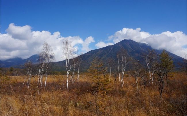 奥日光ゆる歩き 小田代ヶ原～湯滝～戦場ヶ原 美しい草紅葉の景色