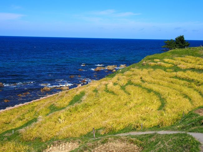 農業世界遺産認定だとかで、能登半島がアツい。<br />高速道路が無料だもの。補助金が降りてるのか？<br />とにかく道の駅をはじめとした訪問スポットに金がかかってしっかり整備されていて、<br />石川県のやる気を感じる。<br />朝和倉温泉を出発し、昼前に輪島着。<br />千枚田を通り、狼煙からの禄剛崎からの珠洲市から金沢まで戻り、<br />夜８時半に金沢を出て名古屋まで戻りましたとさ。<br />