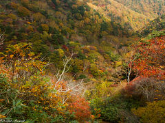 強風すぎた安達太良山登山&紅葉