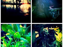 神が宿る島でデトックス休暇の10日間。②ウブド編