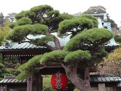 鎌倉散歩 瑞泉寺～長谷寺