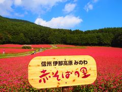 赤そばの花が見たくて☆赤そばの里☆信州伊那高原