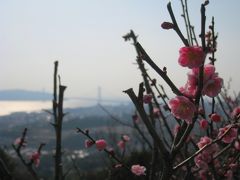 2010年3月 あの頃行った神戸★須磨観光ハウスでランチ＆須磨浦山上遊園の梅林