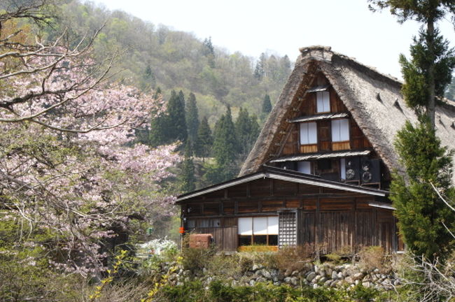 2010年<br />■5月3日　大阪〜高山　高山泊<br />■5月4日　高山〜上高地〜高山　高山泊<br />■5月5日　高山〜白川郷〜高山〜大阪<br /><br />　2009年秋に初めて上高地を訪れてその自然の素晴らしさに感動し、<br />今度は春の上高地を訪れてみました。<br />　そして、高山から濃飛バスで、白川郷へも足を伸ばしました。