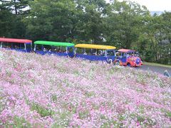 昭和記念公園コスモスまつり 2nd & 3rd ステージ 2014