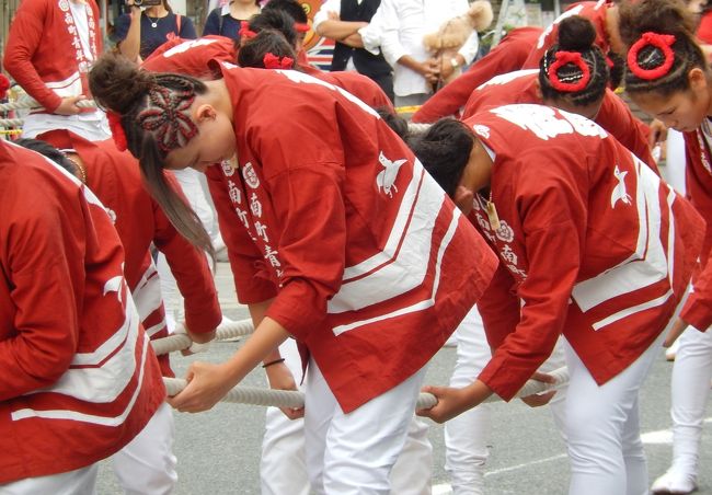 だんじりと言えば、岸和田だんじり祭りが有名ですが、負けずにこちらも頑張っています。<br /><br />大阪の南の地域、泉州や河内のお祭りが「だんじり祭り」なんですよね。<br /><br />だけど年々お祭りに参加する若者がいなくなって、過疎化に悩まされている地域では、今年はお祭りを行わない所もあると、若者離れした村のドキュメント番組を見たばかりだったので、偶然出会った 古市のだんじり祭りに足を停めて見入ってしまいました