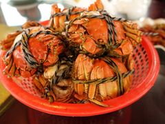 上海蟹を食べに陽澄湖