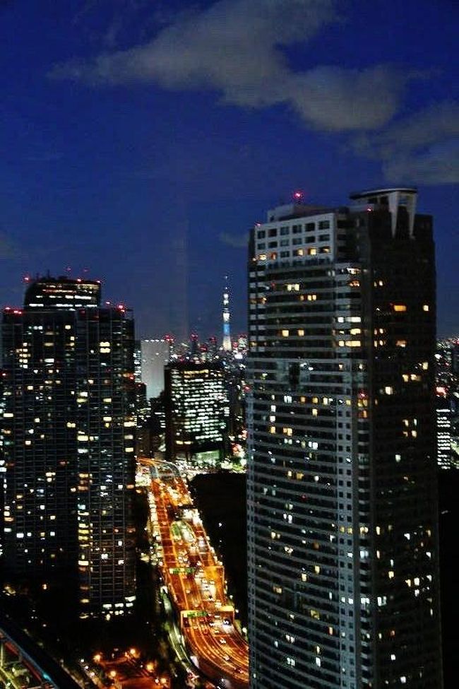 「 世界貿易センタービル40階　展望台 」からの夜景<br /><br />世界貿易センタービルは、東京都港区浜松町にあり、会議室・展示場・結婚式場・展望台・レストラン街などを備えた複合オフィスビルです。<br /><br />世界貿易センタービルの40階には「シーサイドトップ」と呼ばれる展望台があります。<br />1周約200mの回廊式のフロアで360度の夜景を眺めることが出来ます。展望台内は、適度にライトダウンされておりベンチも多数用意されていて雰囲気は大変優れているといえます。<br /><br />手持ちで撮った画像です「ブレ」有り(一_一；)　m(__)m