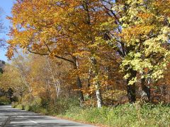 733	紅葉　福島県南会津郡桧枝岐村