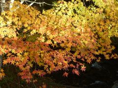 鬼怒川温泉＆奥日光の紅葉