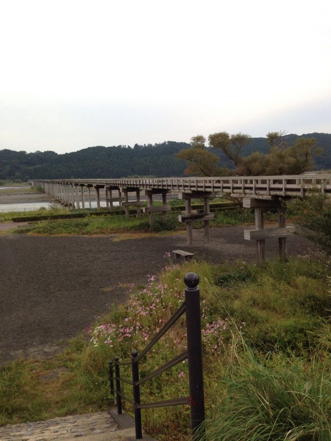 最終日は静岡からスタート。たまたま見つけた世界一の木造の橋。まだまだ知らない観光地があるんですね。