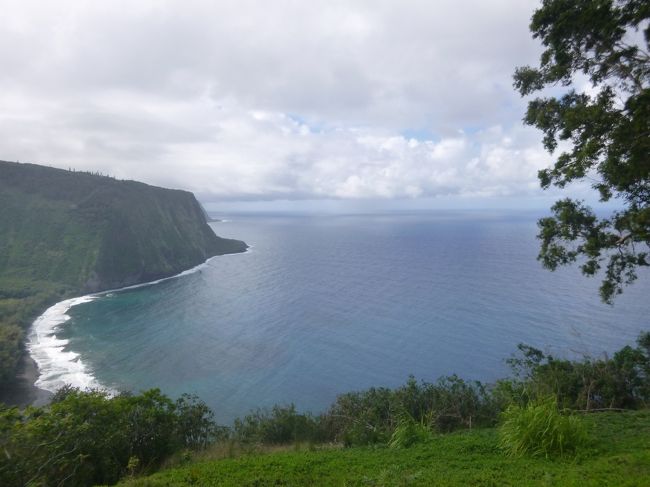 憧れの地　ハワイ旅行４日目。<br /><br />この日は　朝からレンタカーを借り、ハワイ島ドライヴ。<br /><br />後半は　昼食後ワイピオ渓谷に向かってGo！<br /><br />ヾ(*´∀｀*)ﾉ