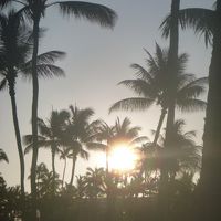 遂に！　家族で初海外　ハワイ旅行～♪　　（５日目・前半）