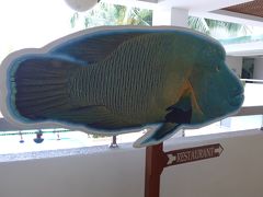 世界遺産「ロックアイランド群と南ラグーン」のパラオに行きました～初日&2日目　　　　　　　　　　　　　　　　　