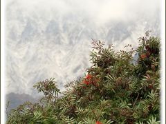 Solitary Journey ［1456］ 秋景色を楽しむ♪険しい断崖を見せる大山の南壁＜鍵掛峠・奥大山スキー場・まきばみるくの里＞鳥取県江府町