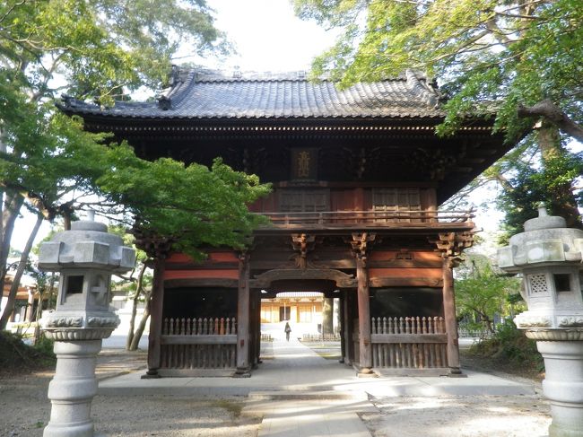 市川の自然が残っている国府台にある、国府神社・木内ギャラリーを見てからそばにある千葉商科大学・短大の宿舎や郵政宿舎などある住宅街を歩いて、広場からの眺めが良くて、桜の名所で仁王門がある古刹「弘法寺（ぐほうじ）」、伝説の美女・手児奈を祀る「手児奈霊神堂」、真間の井がある「亀井院」へ。<br /><br />手児奈霊神堂境内にある真間稲荷神社では秋の祭禮が行われていて賑やかでした、又、市川駅方面への道、手児奈通りでは手児奈まつりが行われていて神輿・獅子舞などが出ていて多くの人で賑わっていました。