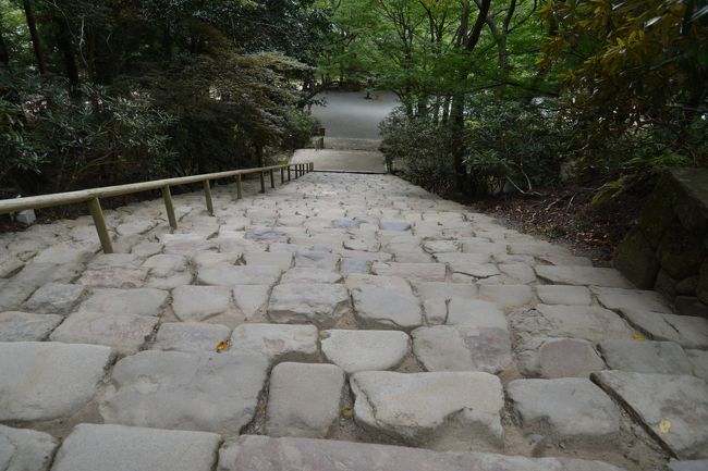 奈良　四日目<br /><br />大和八木という駅名を鮮明に覚えている。修学旅行に来て降りた駅だ。駅のたたずまいも周辺の様子も降りてからどこで何を見たのかも全く記憶にない。駅名だけははっきり覚えている。嘉雲亭を８時に出て大和八木まで徒歩10分。スーツケースをロッカーに預けて近鉄大阪線に乗り込み隣にいた女性に室生寺についていろいろと話を聞く。親切に説明してくれたが途中で「うらやましいです」、と。室生口大野で下車するとき「楽しんできてください、うらやましいです」ともう一度言う。なぜうらやましいのかわからなかったが、とても感じがよかった。若いし美人だったし。室生寺−長谷寺−談山神社−大和八木−畝傍−京都。リーガロイヤルホテル泊り。　　