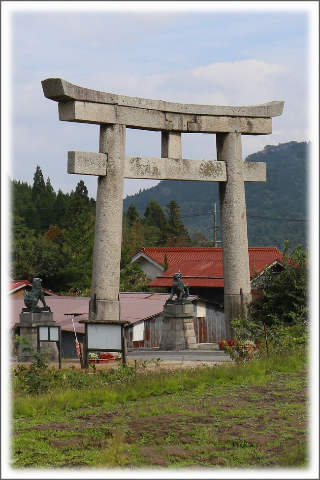 ■秋景色を楽しむ♪ 中国地方最高峰の大山&蒜山高原へ ◆最終編 <br /><br />▼蒜山(ひるぜん)高原/岡山県真庭市蒜山<br /> 蒜山高原は、岡山県北部にある標高500mから600mほどの高原地帯であり、自然たっぷりの牧歌的な高原リゾートです。<br /> 約60万年前に火山活動を停止した蒜山三座(上蒜山、中蒜山、下蒜山)の中腹に位置します。北北西の方角に中国地方一の標高を持つ名峰、大山があります。また、日本最大規模のジャージー牛の育成などが有名で、牛乳の生産量も日本一を誇ります。<br /><br />▼日本一の石鳥居・茅部神社<br /> 茅部神社の参道にそびえる、高さが13mもある巨大な明神型石鳥居です。日本一の規模を誇り、真庭市の指定文化財にもなっています。<br /> 文久3年(1863)、当時の氏子が日本一の石鳥居を作ろうと資金を集め、岩倉山から花崗岩を切り出して3年かけて完成させました。<br /><br />≪ 今回の‘大山&蒜山’車旅ルート ≫<br /> 秋景色を楽しむ♪スーパー台風19号が来ていたので日帰り旅になりました。<br />▲道後山/広島県庄原市西城町三坂<br />▲根雨の町並み/鳥取県日野町根雨<br />▲御机の茅葺小屋/鳥取県日野郡江府町御机<br />▲鍵掛峠/鳥取県日野郡江府町大河原<br />▲奥大山スキー場/鳥取県日野郡江府町御机<br />▲桝水高原/鳥取県西伯郡伯耆町大内<br />▲大山まきばみるくの里/鳥取県西伯郡伯耆町小林<br />▲鏡ケ成湿原/鳥取県日野郡江府町鏡ヶ成<br />▲鬼女台展望休憩所/岡山県真庭市蒜山下徳山<br />▲蒜山タンチョウの里/岡山県真庭市蒜山上福田<br />▲ジャージー牛ふれあい広場/岡山県真庭市蒜山上福田<br />▲ジャージーランド/岡山県真庭市蒜山中福田<br />▲ホースパーク/岡山県真庭市蒜山中福田<br />▲道の駅蒜山高原/岡山県真庭市蒜山富山根<br />▲八束自然牧場公園/岡山県真庭市蒜山富山根<br />▲日本一の石鳥居/岡山県真庭市蒜山西茅部<br />▲茅部神社/岡山県真庭市蒜山西茅部<br />▲猿飛湖・俣野川ダム/鳥取県日野郡江府町大字武庫<br /><br />【手記】<br /> 今回の‘大山&蒜山’車旅の最終ファイルです。<br /> せっかくの連休、1泊2日の予定で鳥取県・大山の秋景色&里山景色を楽しんでこようかと考えていたのですが、運悪く13日(月)にスーパー台風19号が中国地方に最接近するということなので、仕方なく日帰りドライブに変更しました。<br /> ・・・と言うことで、今回は1日の時間をたっぷりと使うため、早朝4時40分に出発、中国地方最高峰の大山周辺・蒜山周辺をなんの当てもなく、秋景色を楽しみながらウロチョロと走り回って参りました。チカレタビー ^皿^; <br /> この時期、山間地域の季節の移ろいをカメラを通して楽しんでおりますと、気分晴れ晴れ、脳内リフレッシュができるような気がします。片道250km、爽やかな秋風を受けながらのんびりと愛車を転がしてきました。<br /> 昔から何度も何度も訪れている大山、自然たっぷりでロケーションも抜群に良く紅葉時期もそれはそれはきれいなんです。ですけれども、休日=紅葉時期とはなかなかいかず、紅葉観賞はいずれ日を改めてどこかへ出かけて行こうと思います。<br /> まだ未アップ分の旅行記がたくさん溜まっておりますので、1日1ファイルアップを目標にがんばっていまーす。 ウッシ!∠^皿^<br /><br /> ※表紙の写真は岡山県真庭市蒜山西茅部にある日本一の石鳥居です。