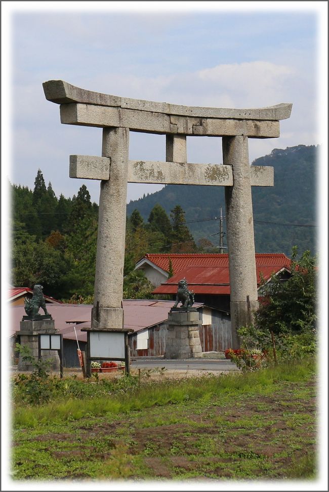 ■秋景色を楽しむ♪　中国地方最高峰の大山＆蒜山高原へ　◆最終編　<br /><br />▼蒜山（ひるぜん）高原／岡山県真庭市蒜山<br />　蒜山高原は、岡山県北部にある標高５００ｍから６００ｍほどの高原地帯であり、自然たっぷりの牧歌的な高原リゾートです。<br />　約６０万年前に火山活動を停止した蒜山三座（上蒜山、中蒜山、下蒜山）の中腹に位置します。北北西の方角に中国地方一の標高を持つ名峰、大山があります。また、日本最大規模のジャージー牛の育成などが有名で、牛乳の生産量も日本一を誇ります。<br /><br />▼日本一の石鳥居・茅部神社<br />　茅部神社の参道にそびえる、高さが１３ｍもある巨大な明神型石鳥居です。日本一の規模を誇り、真庭市の指定文化財にもなっています。<br />　文久３年（1863）、当時の氏子が日本一の石鳥居を作ろうと資金を集め、岩倉山から花崗岩を切り出して３年かけて完成させました。<br /><br />≪　今回の‘大山＆蒜山’車旅ルート　≫<br />　秋景色を楽しむ♪スーパー台風１９号が来ていたので日帰り旅になりました。<br />▲道後山／広島県庄原市西城町三坂<br />▲根雨の町並み／鳥取県日野町根雨<br />▲御机の茅葺小屋／鳥取県日野郡江府町御机<br />▲鍵掛峠／鳥取県日野郡江府町大河原<br />▲奥大山スキー場／鳥取県日野郡江府町御机<br />▲桝水高原／鳥取県西伯郡伯耆町大内<br />▲大山まきばみるくの里／鳥取県西伯郡伯耆町小林<br />▲鏡ケ成湿原／鳥取県日野郡江府町鏡ヶ成<br />▲鬼女台展望休憩所／岡山県真庭市蒜山下徳山<br />▲蒜山タンチョウの里／岡山県真庭市蒜山上福田<br />▲ジャージー牛ふれあい広場／岡山県真庭市蒜山上福田<br />▲ジャージーランド／岡山県真庭市蒜山中福田<br />▲ホースパーク／岡山県真庭市蒜山中福田<br />▲道の駅蒜山高原／岡山県真庭市蒜山富山根<br />▲八束自然牧場公園／岡山県真庭市蒜山富山根<br />▲日本一の石鳥居／岡山県真庭市蒜山西茅部<br />▲茅部神社／岡山県真庭市蒜山西茅部<br />▲猿飛湖・俣野川ダム／鳥取県日野郡江府町大字武庫<br /><br />【手記】<br />　今回の‘大山＆蒜山’車旅の最終ファイルです。<br />　せっかくの連休、１泊２日の予定で鳥取県・大山の秋景色＆里山景色を楽しんでこようかと考えていたのですが、運悪く１３日（月）にスーパー台風１９号が中国地方に最接近するということなので、仕方なく日帰りドライブに変更しました。<br />　・・・と言うことで、今回は１日の時間をたっぷりと使うため、早朝４時４０分に出発、中国地方最高峰の大山周辺・蒜山周辺をなんの当てもなく、秋景色を楽しみながらウロチョロと走り回って参りました。チカレタビー　＾皿＾；　<br />　この時期、山間地域の季節の移ろいをカメラを通して楽しんでおりますと、気分晴れ晴れ、脳内リフレッシュができるような気がします。片道２５０ｋｍ、爽やかな秋風を受けながらのんびりと愛車を転がしてきました。<br />　昔から何度も何度も訪れている大山、自然たっぷりでロケーションも抜群に良く紅葉時期もそれはそれはきれいなんです。ですけれども、休日＝紅葉時期とはなかなかいかず、紅葉観賞はいずれ日を改めてどこかへ出かけて行こうと思います。<br />　まだ未アップ分の旅行記がたくさん溜まっておりますので、１日１ファイルアップを目標にがんばっていまーす。　ｳｯｼ！∠＾皿＾<br /><br />　※表紙の写真は岡山県真庭市蒜山西茅部にある日本一の石鳥居です。