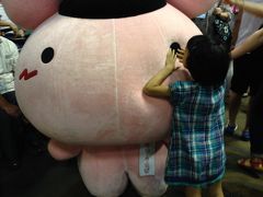 '14長岡まつり大花火大会