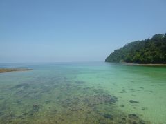 大自然のボルネオ島～サピ島でターザン編～