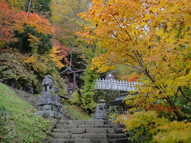 信州蕎麦で有名な戸隠高原にある戸隠神社のすばらしい紅葉を見物しながら、参拝してきました。<br />神社の紅葉なんて、大して期待もしていなかったのですが、奥社の参道を色鮮やかに紅葉した木々が、ずうっと続いている様は、古代からの信仰の山が持つ、自然の力に満ち溢れていました。<br /><br />　すぐそばにある鏡池がまた、おそろしくすばらしい紅葉のスポットで、奥社と中社の参拝の途中で訪れましたが、あまりにすばらしいので、次回に単独で紹介します。