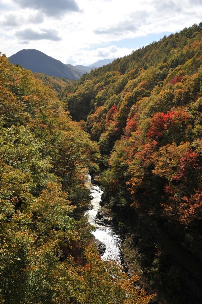 10月中旬に紅葉を楽しみに磐梯山ゴールドラインに行きました。