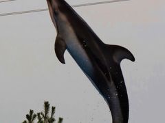 新潟２　マリンピア日本海　イルカショー観覧２回　　☆ハイジャンプの一瞬も