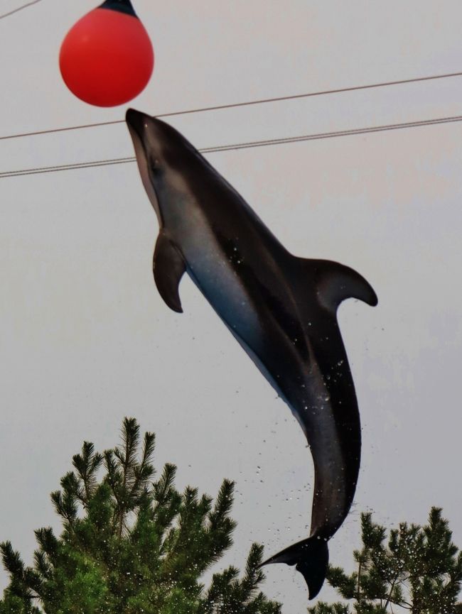 新潟市水族館は、新潟県新潟市中央区西船見町にある水族館。愛称はマリンピア日本海。2013年（平成25年）7月15日（海の日）にリニューアルオープンした。<br />水族館としては本州日本海側最大級で、約450種20,000点の生物を飼育している。また館内の飼育生物や、新潟県内の水辺環境に関する調査や研究などを進めており、特にフンボルトペンギンの飼育や繁殖に関する研究について積極的に取り組んでいる。<br />イルカショープール - 通年・毎日開催されるイルカショーの会場。冬季期間は屋内プールで行われる。　　（フリー百科事典『ウィキペディア（Wikipedia）』より引用）<br />イルカショーとは、主に水族館や動物園で行われるイルカのショー形式展示法のこと。<br />イルカショーは特に水族館において人気が高く、イルカショーを目玉とするところもある。一般には観客席に囲まれたプールでトレーナーが手で合図を出し、イルカが様々な得意技を披露する。<br /><br />イルカショーにおける代表的な得意技にジャンプがあり、水中で速度をつけて水面から飛び上がり、ハイジャンプ、ハードルジャンプ、バックスピン、スピンジャンプ、テールキック、ランディングなどを披露する。また飛び上がって空中にぶら下げたボールを嘴でつついたり、尾で叩いたりといったレパートリーもある。　水中からプールサイドに乗り上がってみせることもある。その他、小技としては口で旗をくわえて振るとか、胸びれや尾ひれを水面から出して振ってみせる、等もあり、これらは最後の挨拶によく使われる。イルカのアクションを楽しむ以外に、プールサイドから手を伸ばしてイルカに触れるサービス（イルカタッチ）を行っているところもある。<br />イルカは頭が良く、アクションもそれに大きく支えられており、ショーの中でイルカの知能を解説する場合もある。（フリー百科事典『ウィキペディア（Wikipedia）』より引用）<br /><br />マリンピア日本海　については・・<br />http://www.marinepia.or.jp/<br />