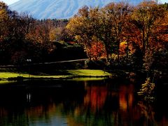 天気がいいので、紅葉の見頃も終盤、羊蹄山を見に京極町までドライブしました。